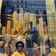 Profesor de Ingles Nativo, trabajo con primaria, secundaria, Universidad y conversacional